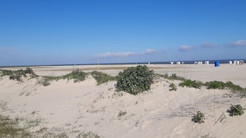 Plage à proximité, chaises longues