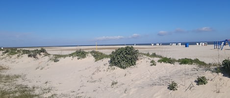 Nära stranden och solstolar