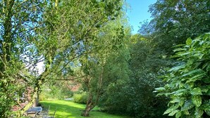 En frodig grøn have med forskellige træer og buske, en stentrappe og et picnicbord.