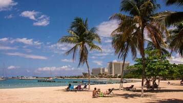 A beach with palm trees, a clear sky, and a hotel in the background.