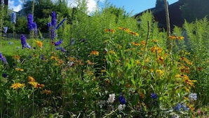 Ein Garten mit verschiedenen Blumen und hohem Gras, ein Holzzaun und ein Gebäude im Hintergrund.