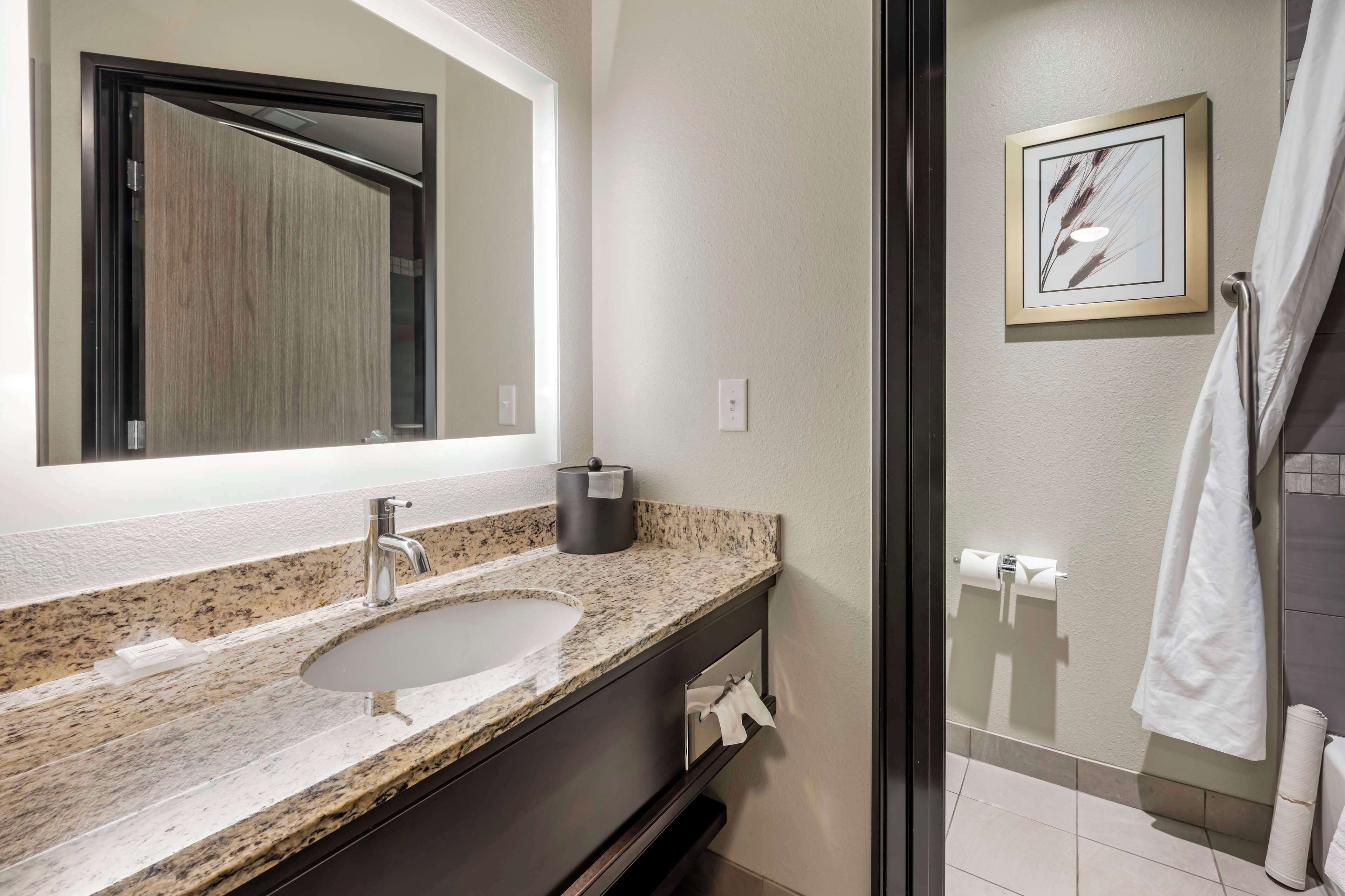 A bathroom with a granite countertop sink, a mirror, a towel rack, and a framed picture on the wall.