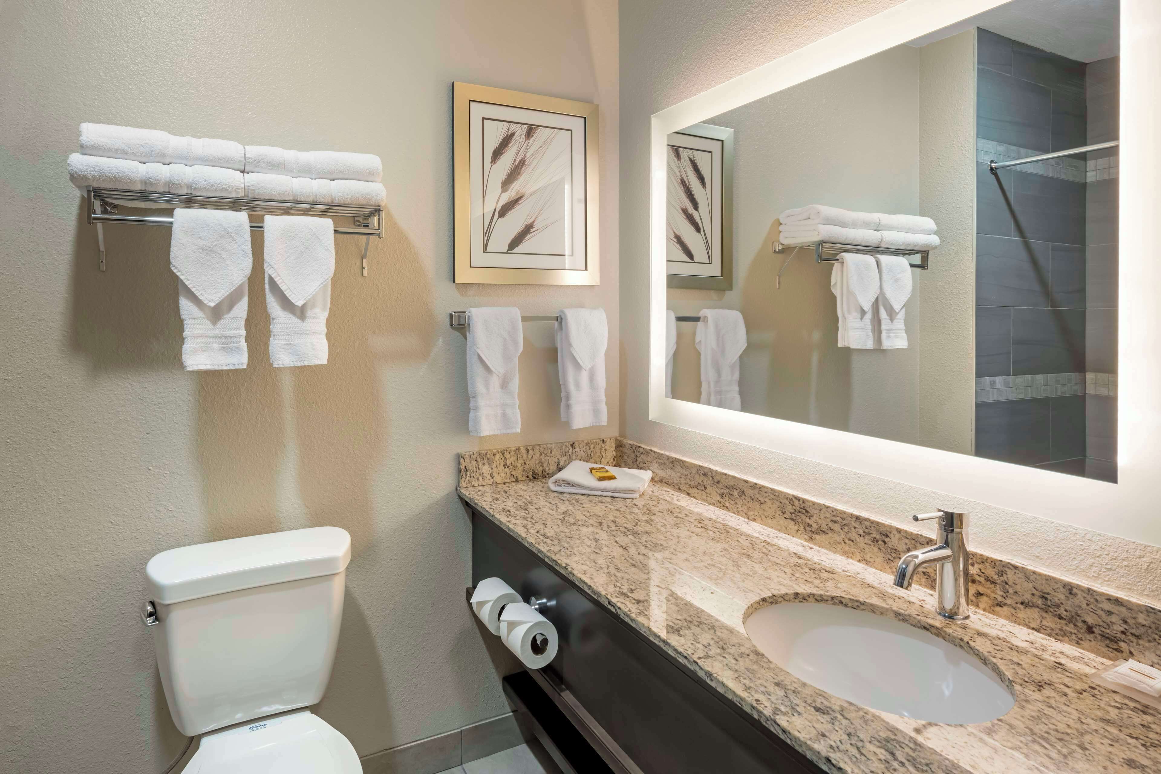 combined shower/bathtub, rainfall showerhead, hair dryer, towels