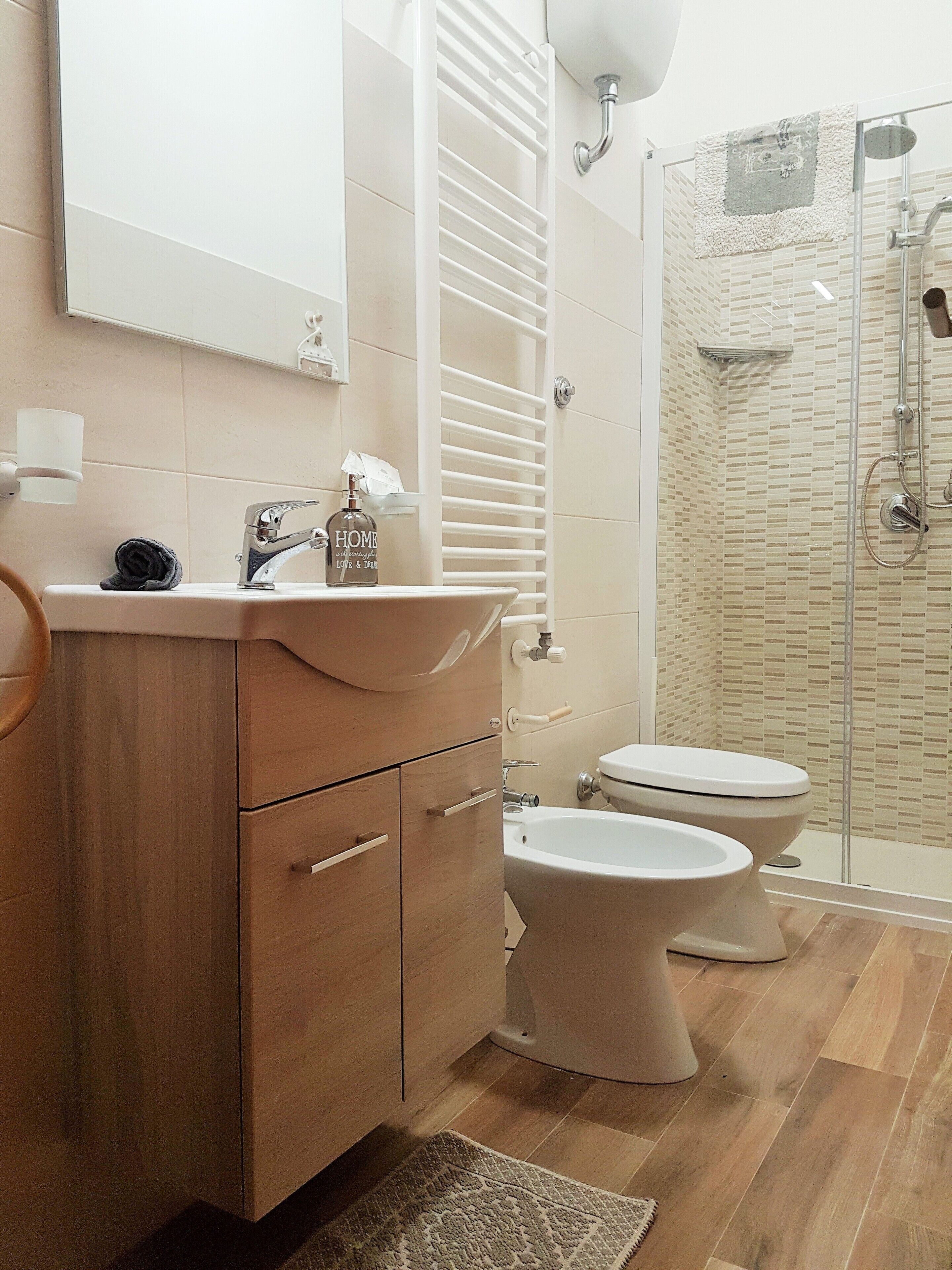 Regadera, secadora de cabello, bidet, toallas 