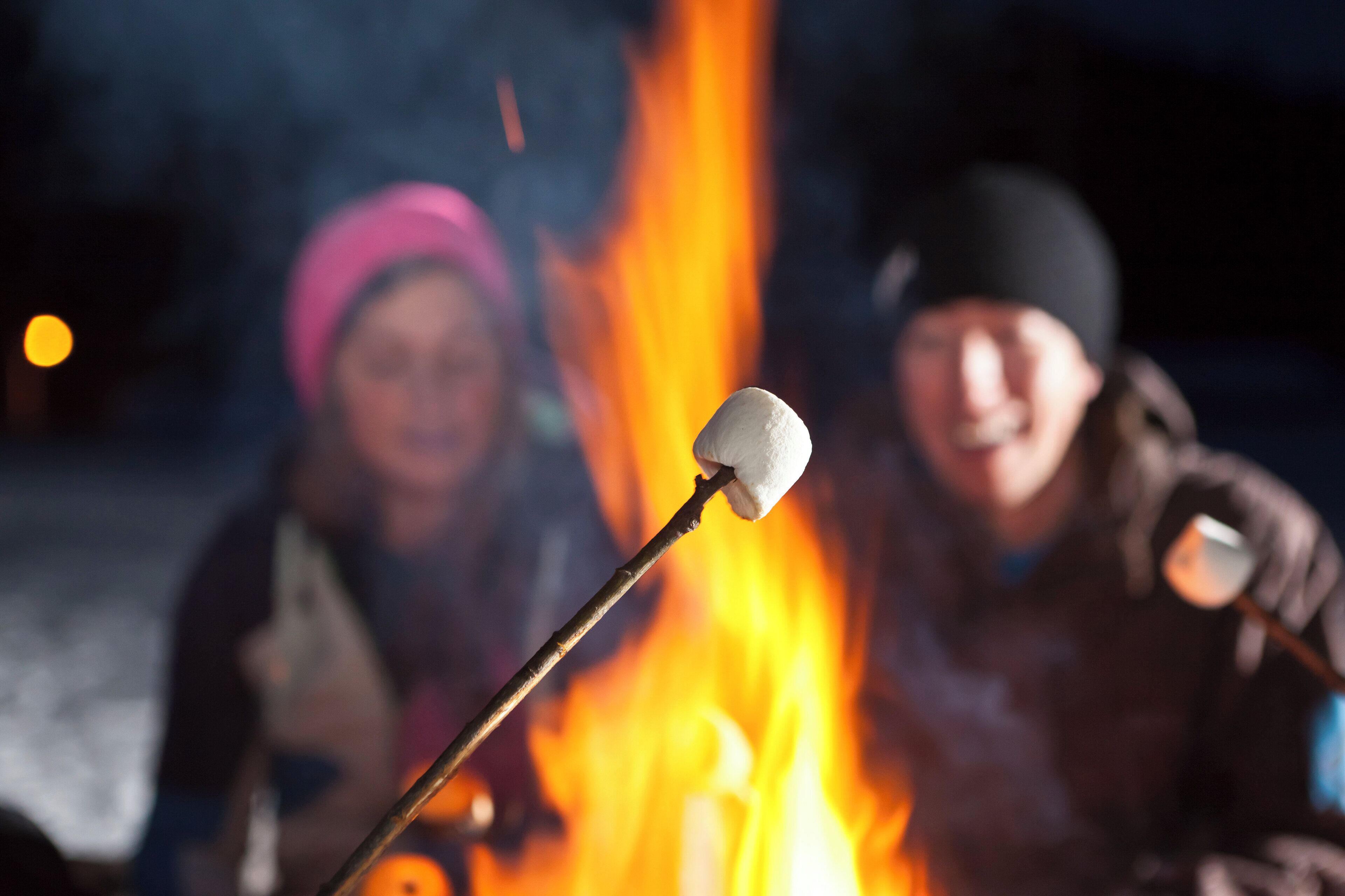 Une guimauve enfilée sur un bâton, grillée au-dessus d’un feu de camp.