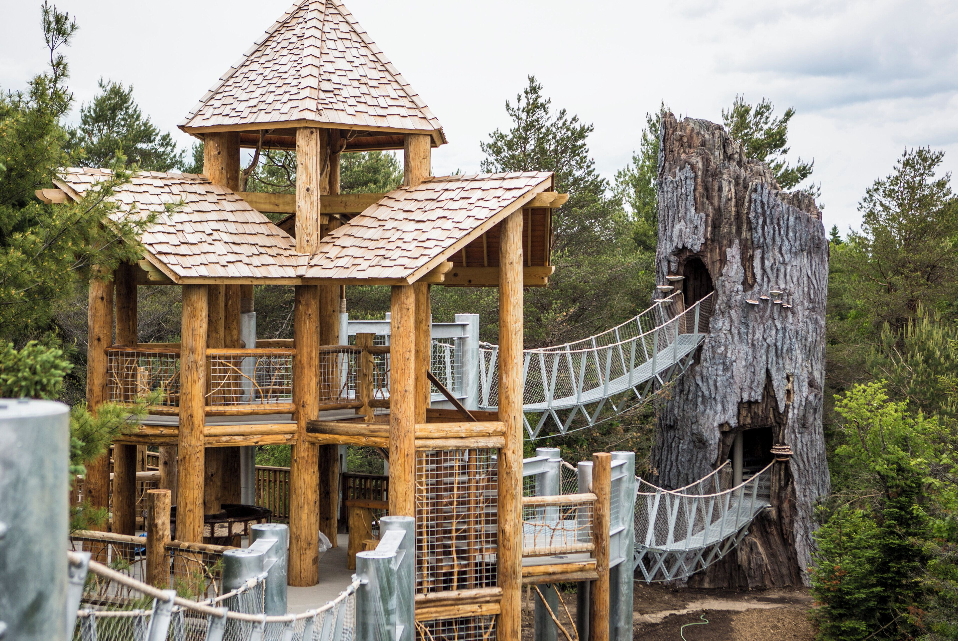 A wooden observation tower with a rope bridge connecting to a large tree.