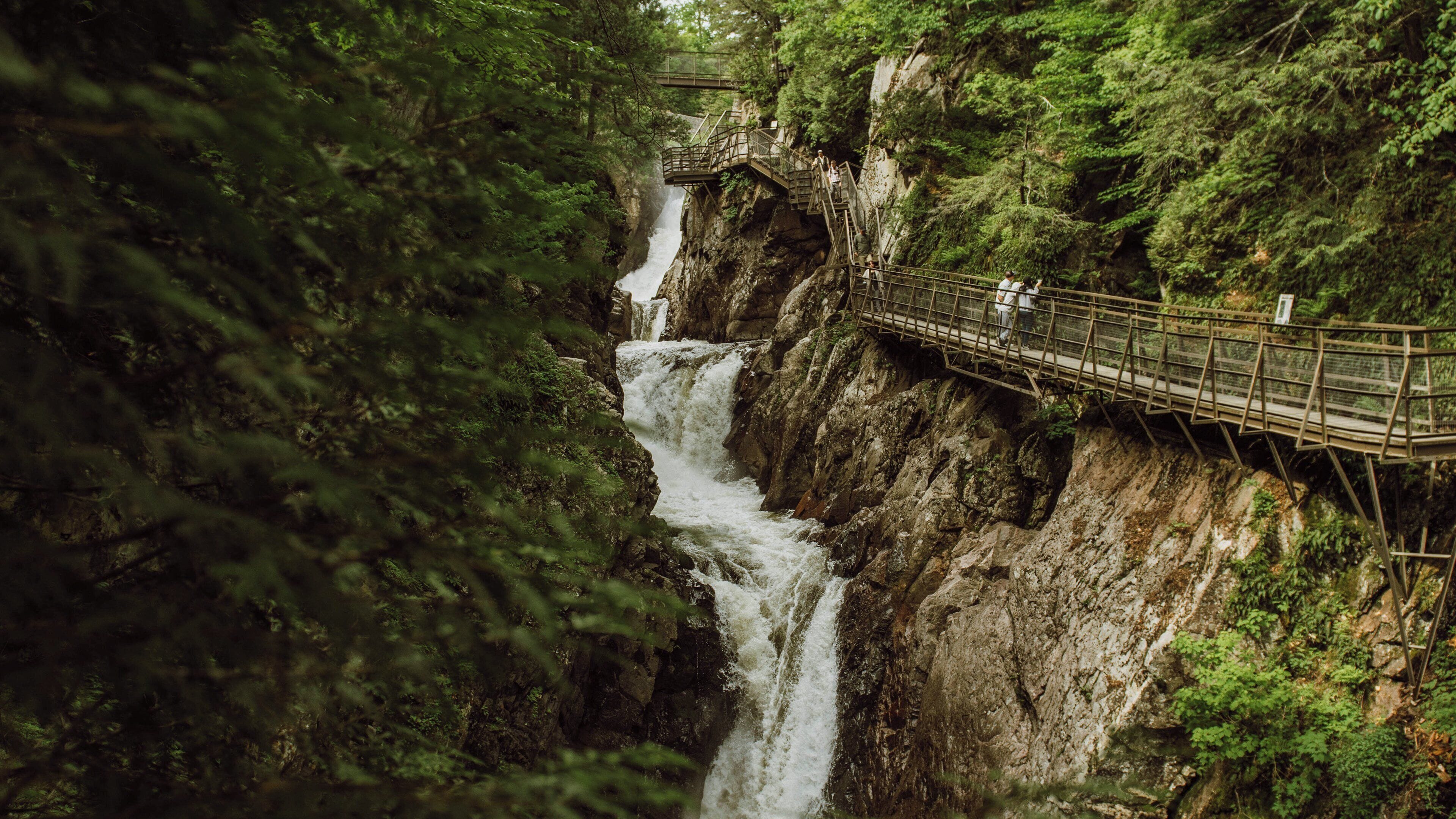 A bridge over a waterfall surrounded by dense forest.