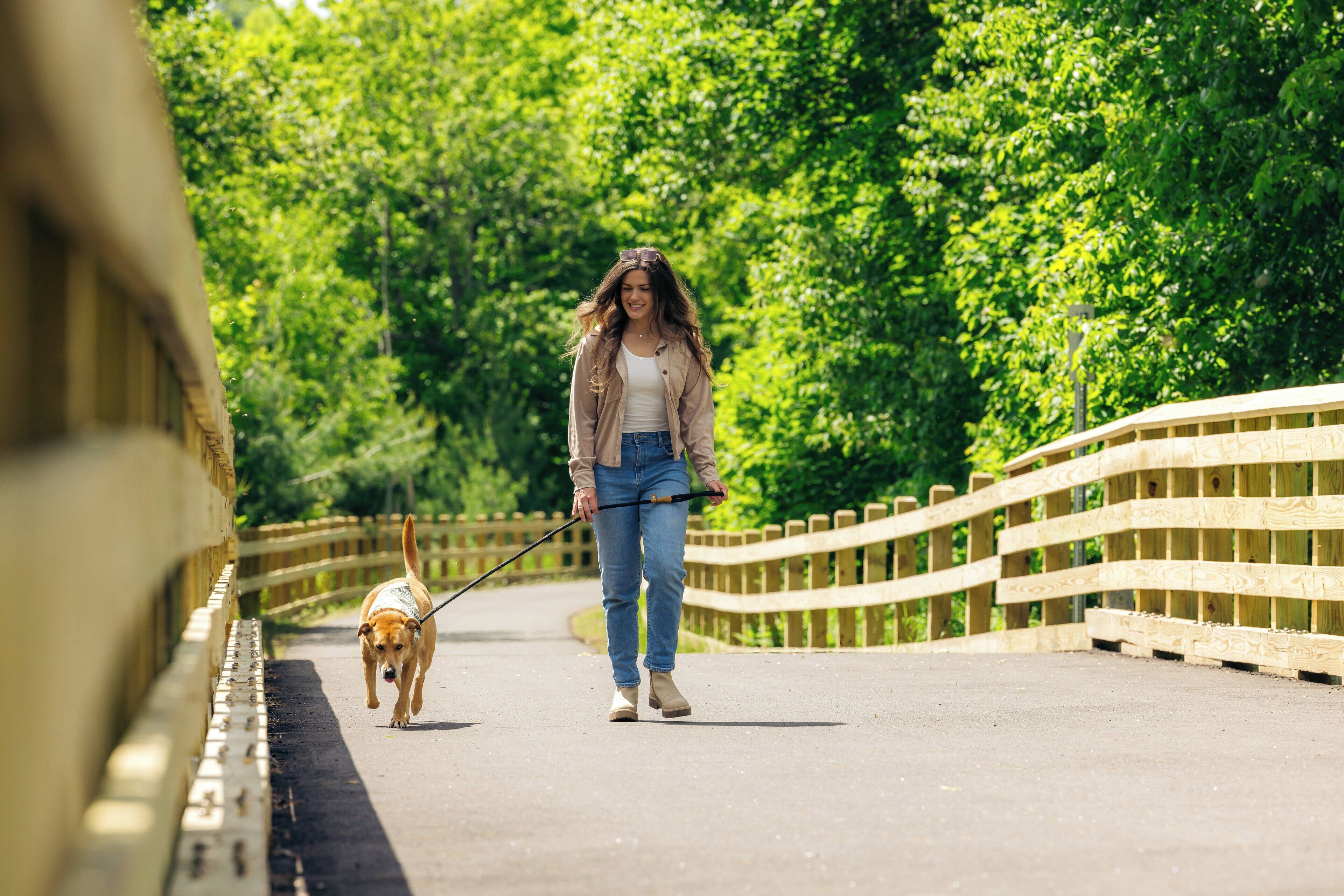 A person walking a dog on a bridge with a wooden railing and greenery in the background.