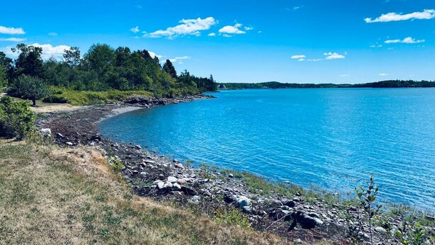 Un paisaje natural con un lago azul cristalino, costa rocosa y un bosque denso.