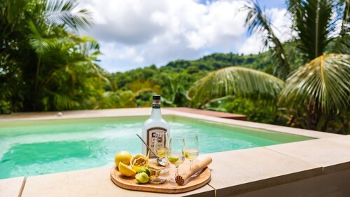 Les Bungalows de la Sucrerie, spacieux, calme, Bac à punch, proche plages du Sud