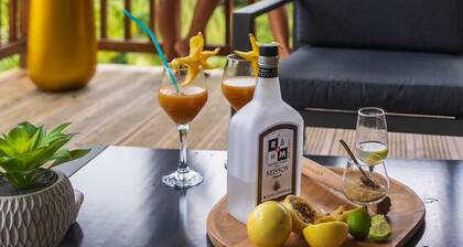 Les Bungalows de la Sucrerie, spacious, quiet, Bac à Punch, near southern beaches