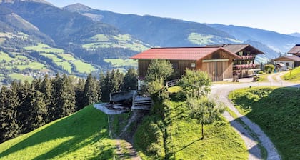 Schönes alleinstehendes Ferienhaus für 24 Leute mit W-LAN, TV, Terrasse und Haustiere erlaubt
