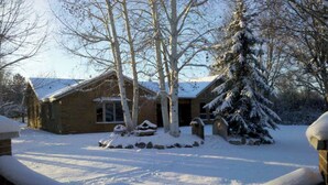 A snow-covered house with a brick exterior, a snow-covered lawn, and a large evergreen tree in front.