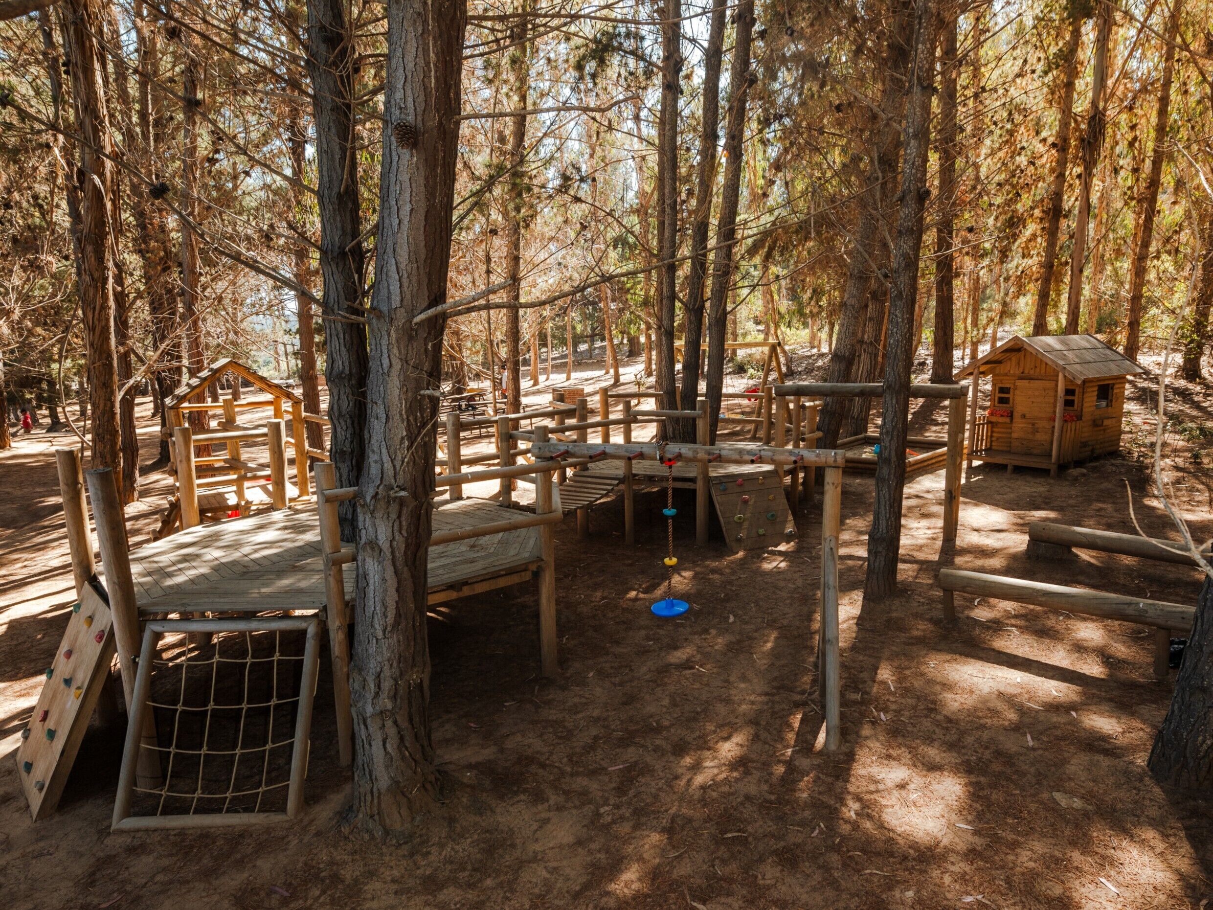 A forested playground with wooden climbing structures, a small wooden house, and a rope swing.
