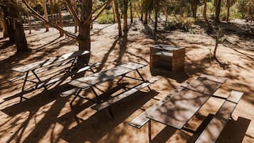 Área de parrillas y picnic