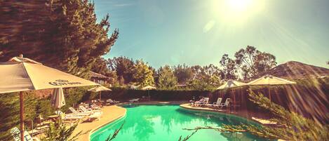 Alberca al aire libre, sombrillas en la alberca y camastros