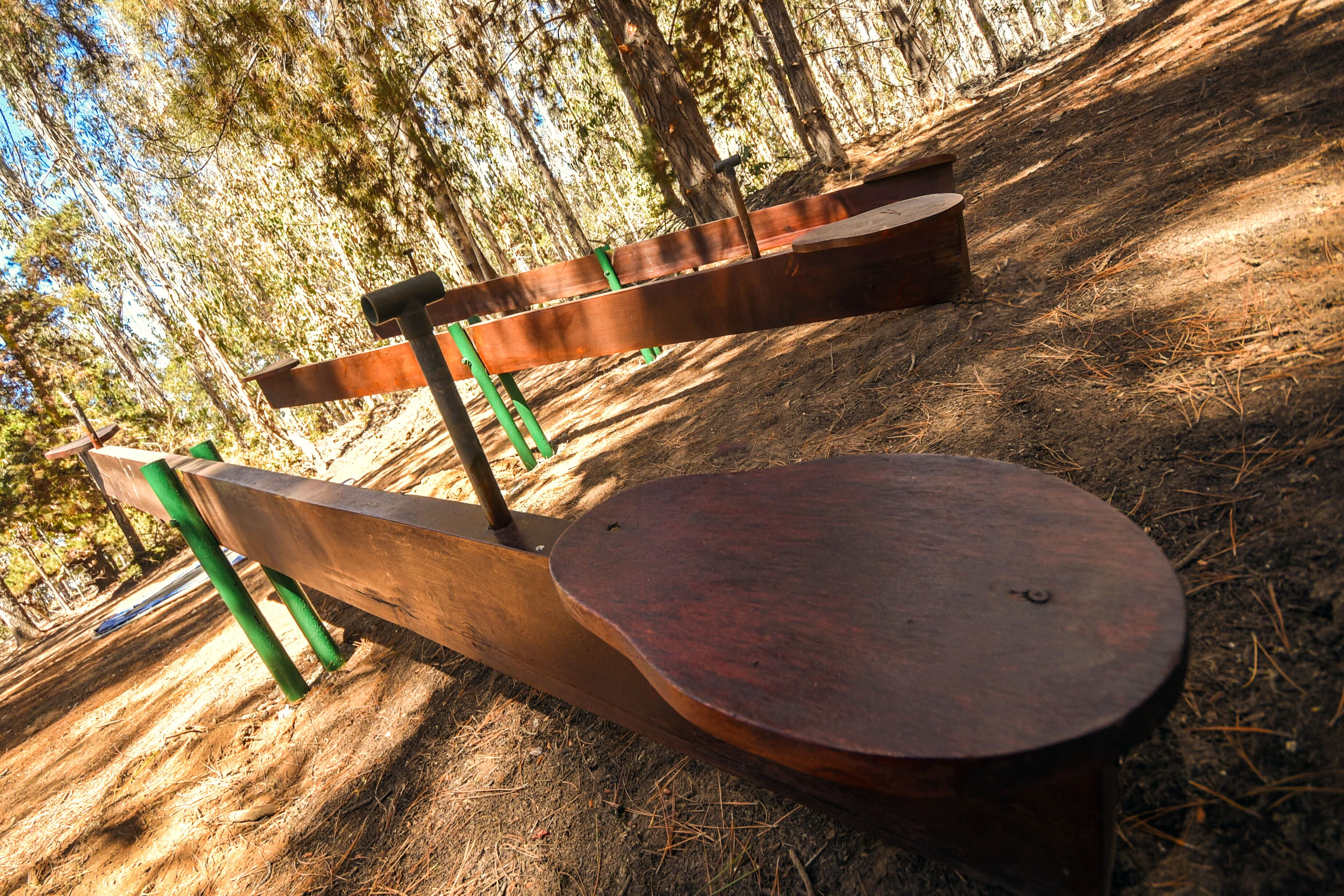 Un banco de madera en un área boscosa, con árboles al fondo.