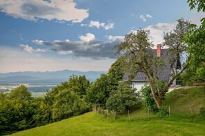 A house with a sloped roof, surrounded by greenery and a view of distant mountains.