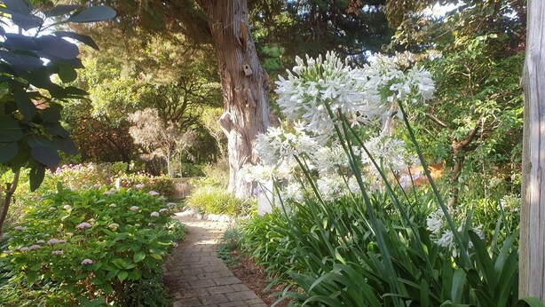 A stone pathway in a garden with various plants and flowers. - Idyllic Tuscan Paradise with Magical Gardens (Tantanoola)
