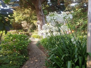 A stone pathway in a garden with various plants and flowers. - Idyllic Tuscan Paradise with Magical Gardens (Tantanoola)