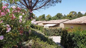 Guest accommodations amidst lush greenery and serene surroundings.