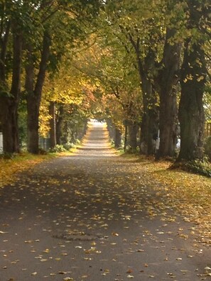 Property grounds - Holiday Apartment in Patzig with Private Parking (Patzig)