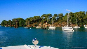 Un port de plaisance où sont amarrés plusieurs voiliers, le tout bordé d’une côte boisée.