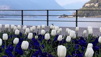 A garden with white tulips and blue flowers, a metal railing, and a lake with mountains in the background.