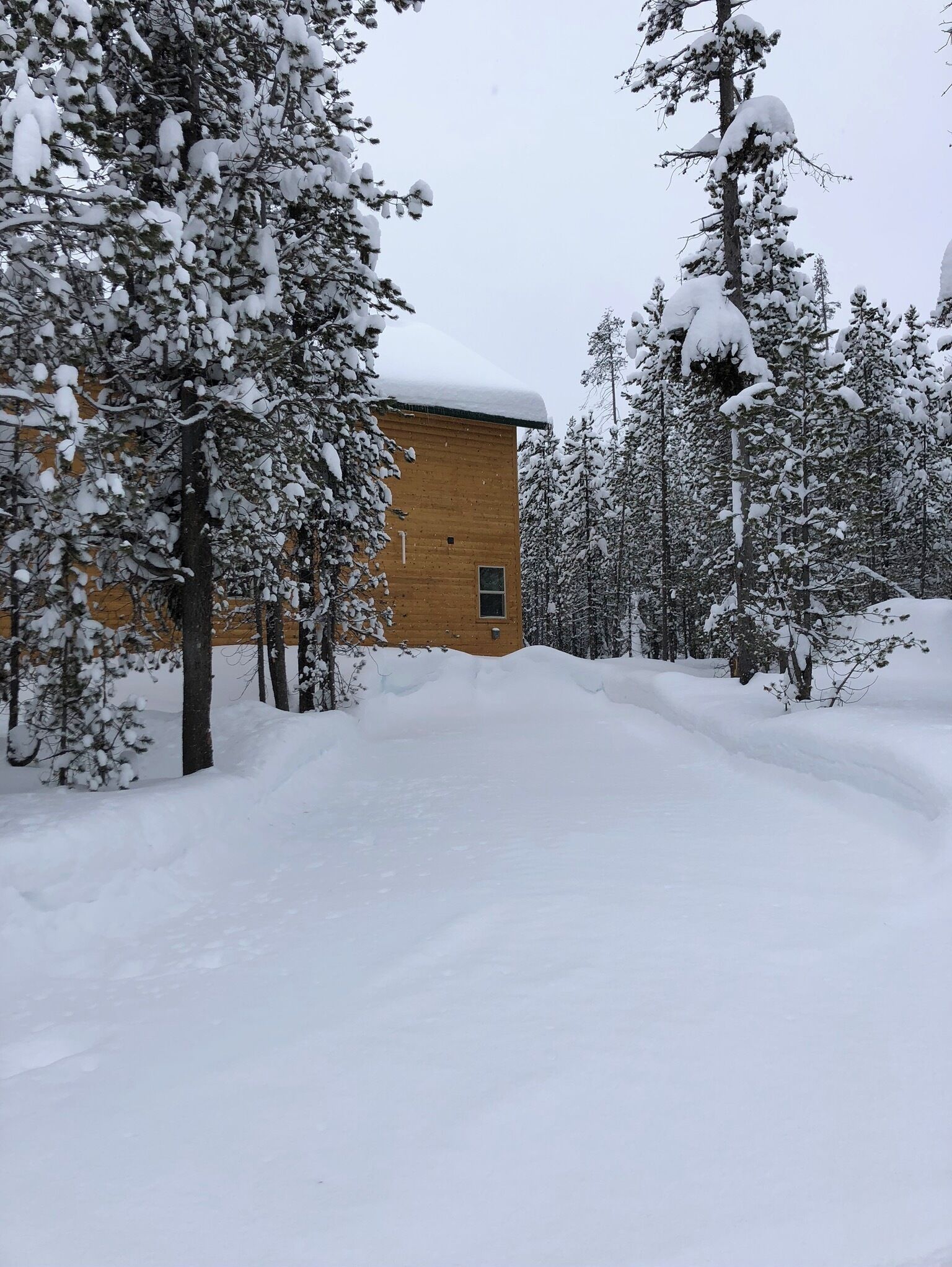 A snow-covered landscape with a wooden building and snow-laden trees.