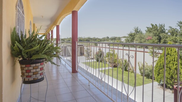 Ein Balkon mit einem Blumentopf, einer Brüstung und Blick auf einen Parkplatz und Grünflächen.