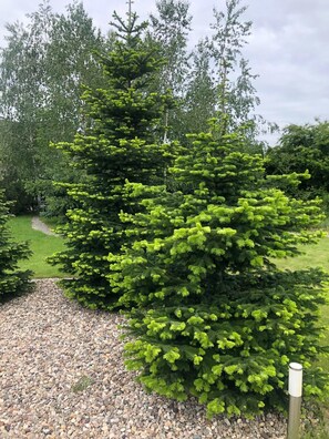 Property grounds - Willa Karkonosze / Karpacz (Jezow Sudecki)