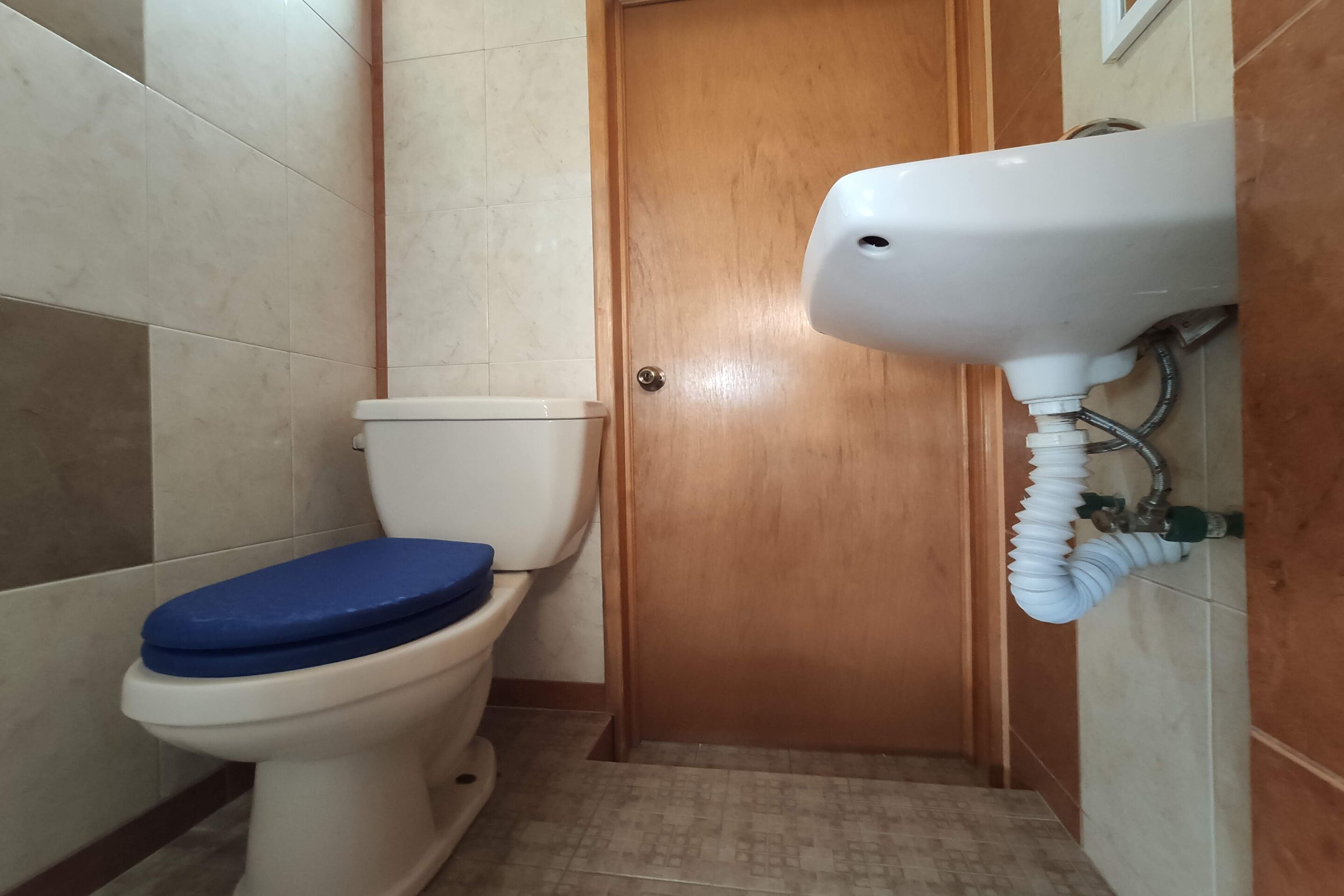 A bathroom with a toilet, a wooden door, and a wall-mounted sink with a hose.