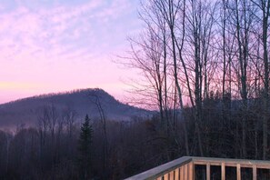 Property grounds - Scenic views in Serene Adirondack retreat (Johnsburg)