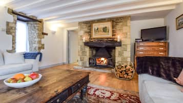 TV, fireplace, ping pong, books