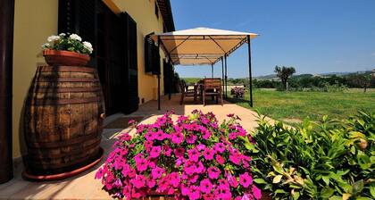 Holiday apartment Gambassi Terme for 2 - 6 persons with 2 bedrooms - Holiday house