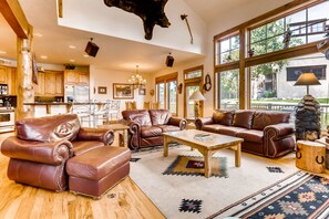 TV, fireplace, DVD player