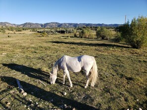 Property grounds - Farriers Quarters Studio on 280 acre Sevier River Ranch - 2 Queen Beds (Hatch)