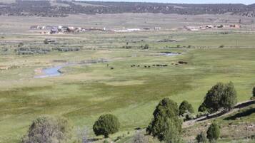 Golfe