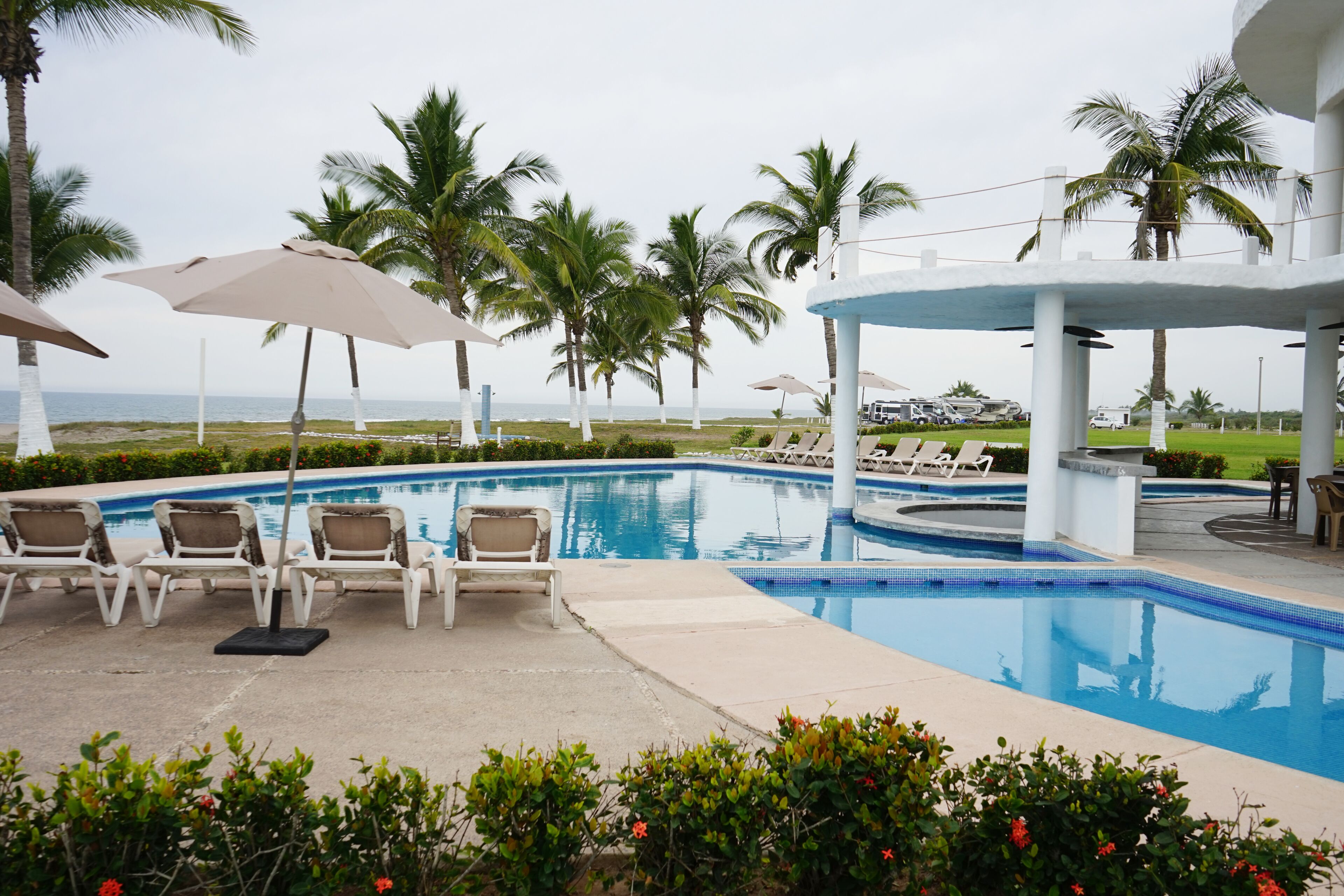 Un área de piscina con sillones de descanso y sombrillas, rodeada de palmeras y vista al océano.