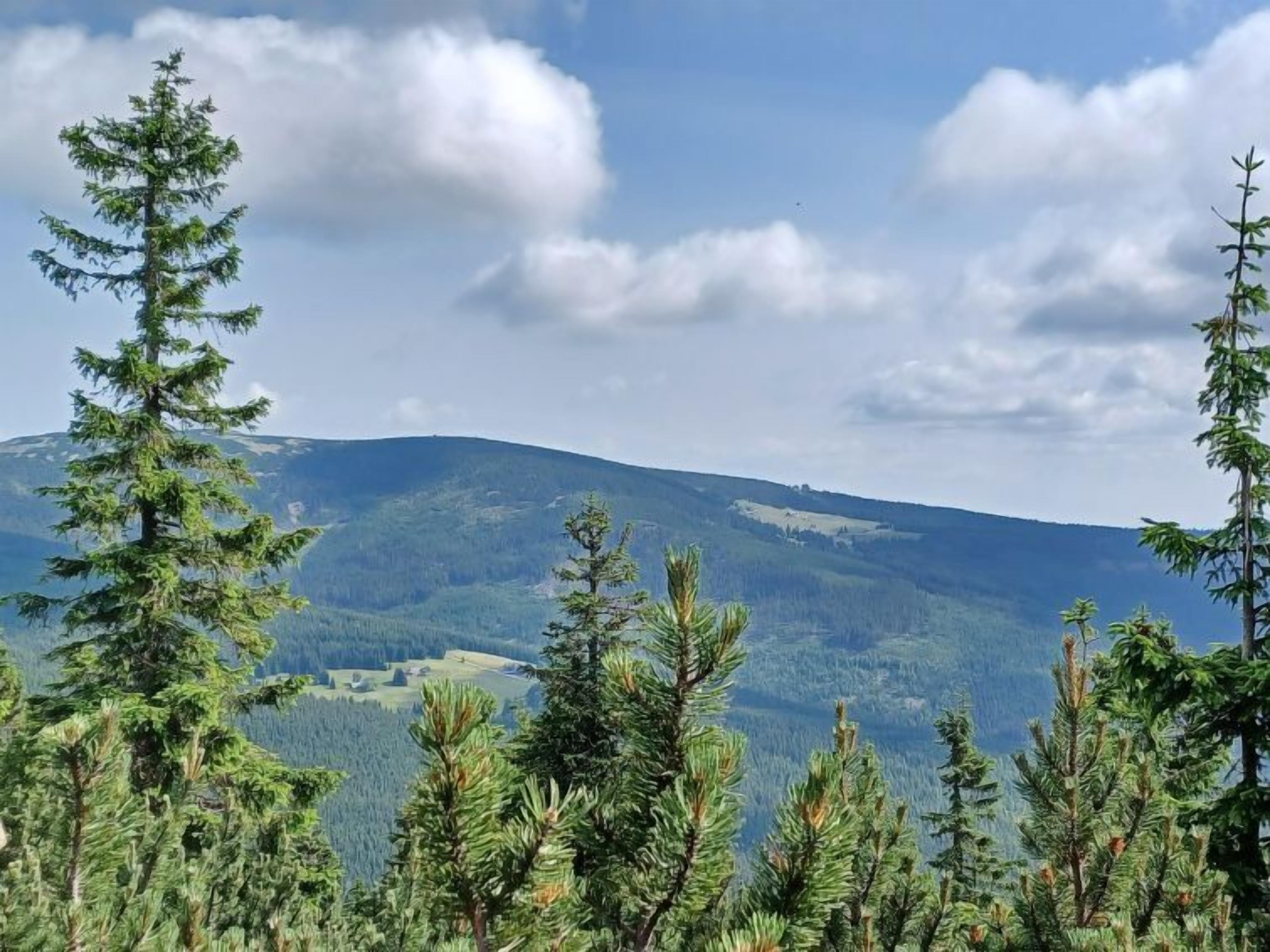 A mountainous landscape with dense forests and a clear sky.