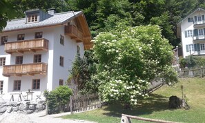 A multi-story building with balconies, a large flowering tree, and a stone wall.