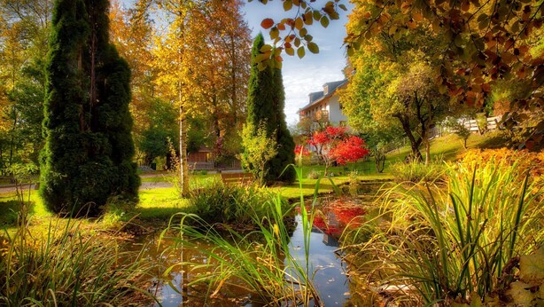 A serene garden with a pond, tall trees, and a building in the background. - Charming Apartment “Ferienwohnung Birke” with Mountain View, Wi-Fi (Bad Tölz)