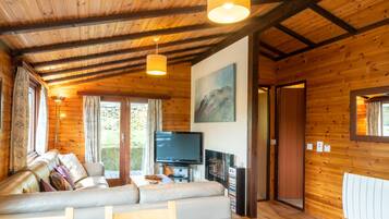 Una televisión, un reproductor de DVD