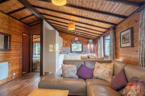 Fernseher, DVD-Player