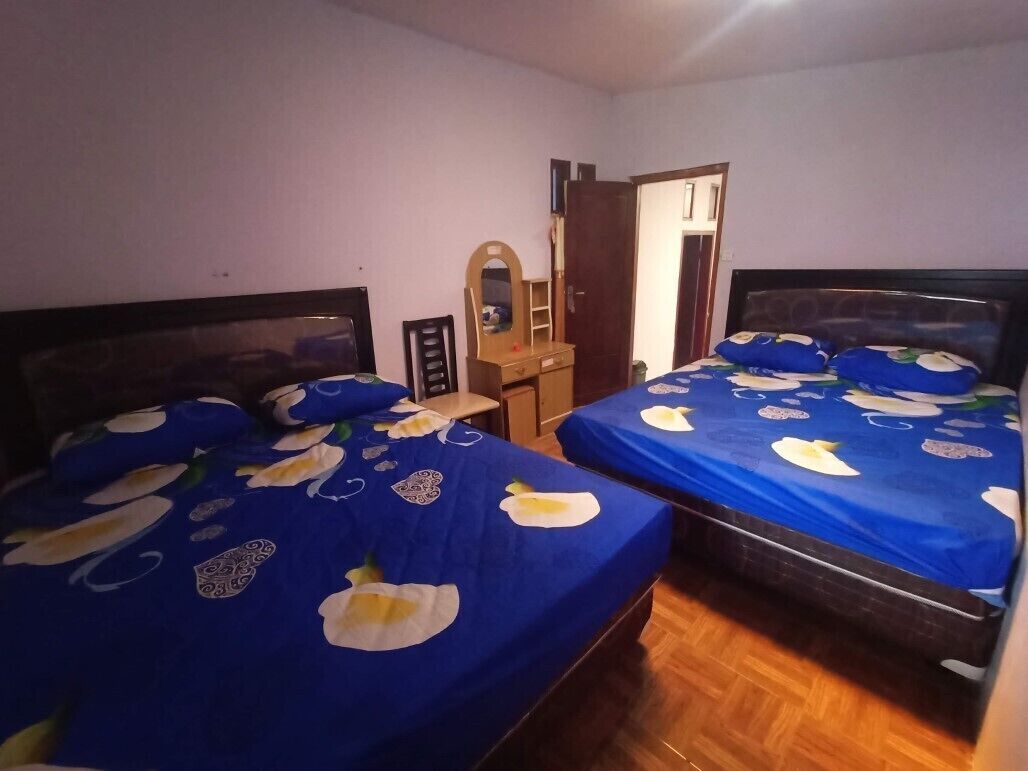 标准双床房 | 办公桌、隔音、免费 WiFi