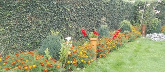 Holiday house Stavenisse for 1 - 6 persons with 3 bedrooms - Row house