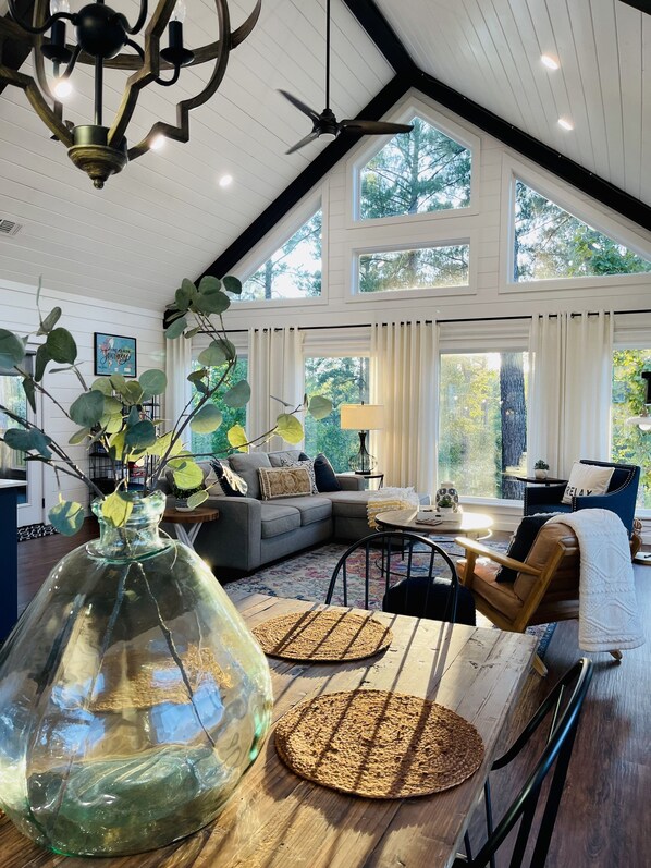 Smart TV, chimenea, libros y biblioteca musical 