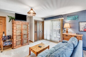 TV, fireplace, DVD player