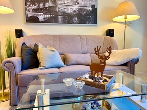 TV, fireplace, video-game console, DVD player