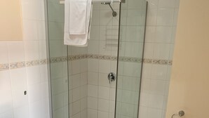 Un baño con ducha de vidrio, inodoro y lavamanos.